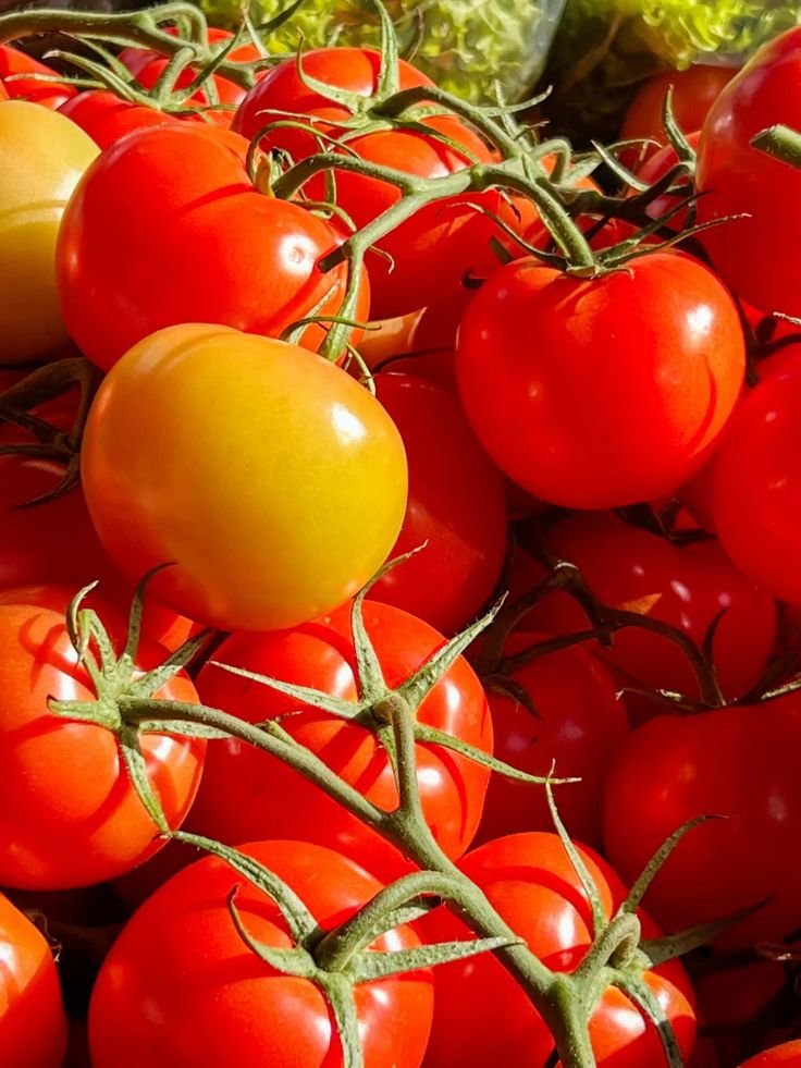 Tomatoes - Dev Tandoor Industries